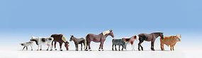Animal-15713 : HO