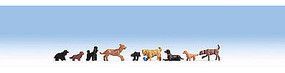 Animal-15719 : HO