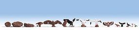 Birds & Nests-15775 : HO