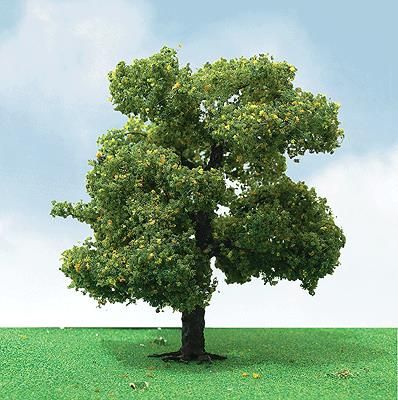 Deciduous-94310