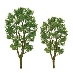 Deciduous-94448