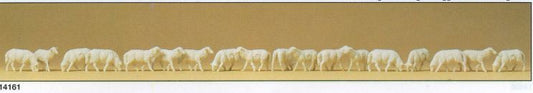 Animal-14161 : HO