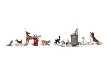 Animal-A2140 : N