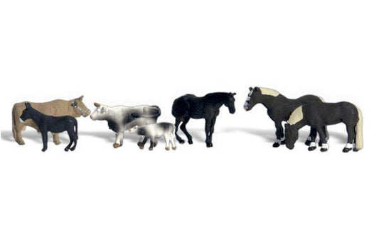 Animal-A2142 : N
