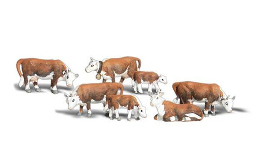 Animal-A2144 : N