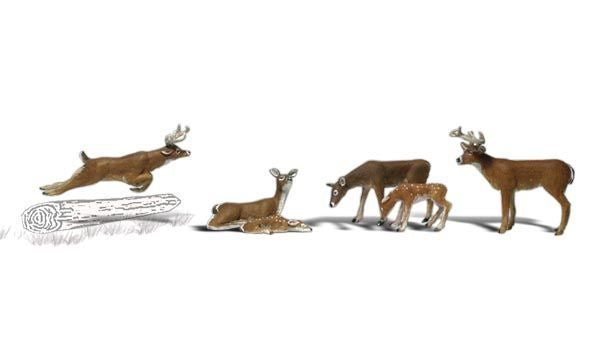 Deer-A2185 : N