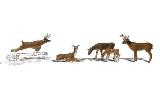 Deer-A2185 : N