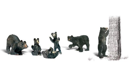 Animal-A2186 : N