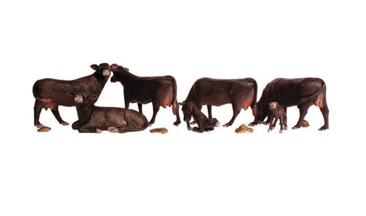 Animal-A2217 : N