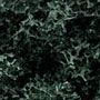 Ballast-1321