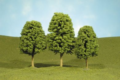 Deciduous-32006