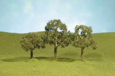 Deciduous-32107