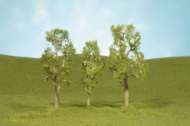 Deciduous-32110