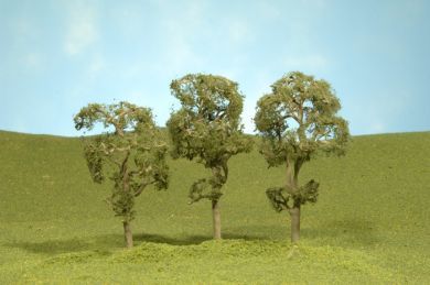 Deciduous-32111