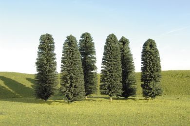 Evergreen-32160