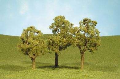 Deciduous-32208