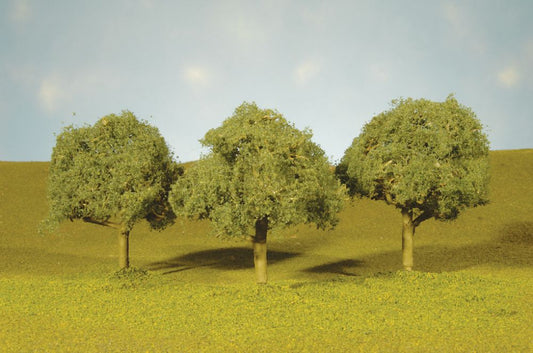 Deciduous-32213