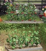 Plants-1214 : HO