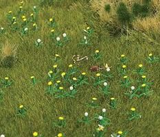 Dandelions, 60 Flowering/60 Seed "Ball" plants - 1220 : HO