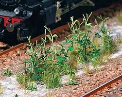 Plants-1252 : HO