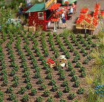 Strawberry Plants Kit - 1265 : HO