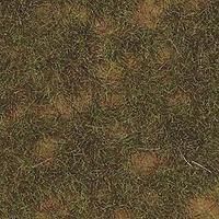 Late Summer Thinning Grass Mat - 1304 : HO