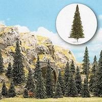 Evergreen-6471 : HO