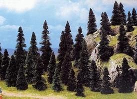 Tree Assortment-6497