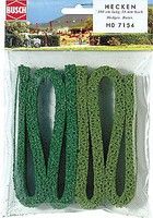 Plants-7154