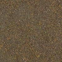 Ground Cover-7528 : HO