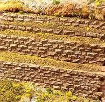 Retaining Wall-8313