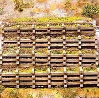 Retaining Wall-8317