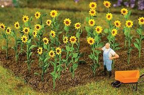 Plants-181256