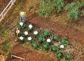Plants-181257
