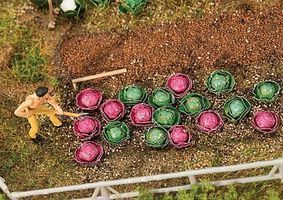 Plants-181263