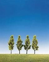 Deciduous-181423