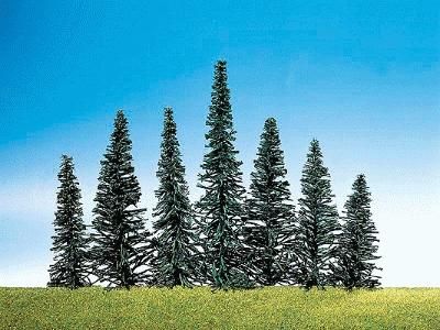 Evergreen-181464
