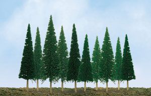 Evergreen-92003