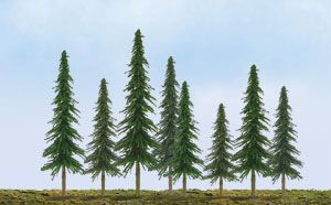 Evergreen-92025