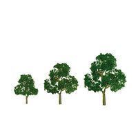 Deciduous-92040
