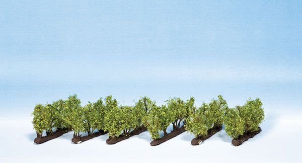 Plants-21540