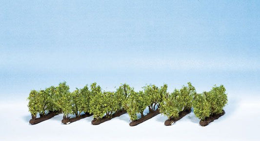 Plants-21540