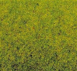 Static Grass-50210