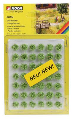 Ground Cover-7034