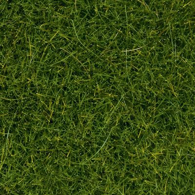 Static Grass-7092
