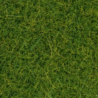 Static Grass-7093