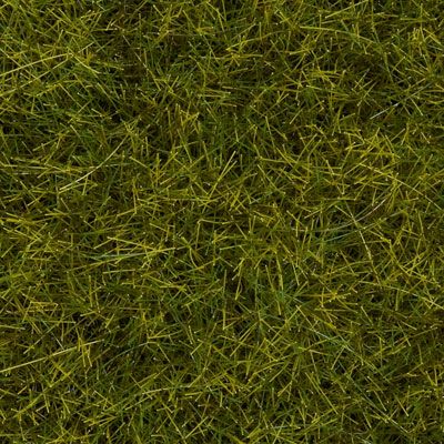 Static Grass-7095