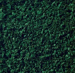 Ground Cover-7146