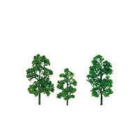 Deciduous-92042