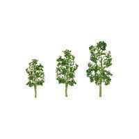 Deciduous-92048